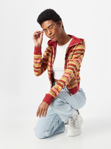 BDG Urban Outfitters Zip-Up Hoodie in Mixed colors