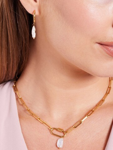 Lucardi Earrings in Gold: front
