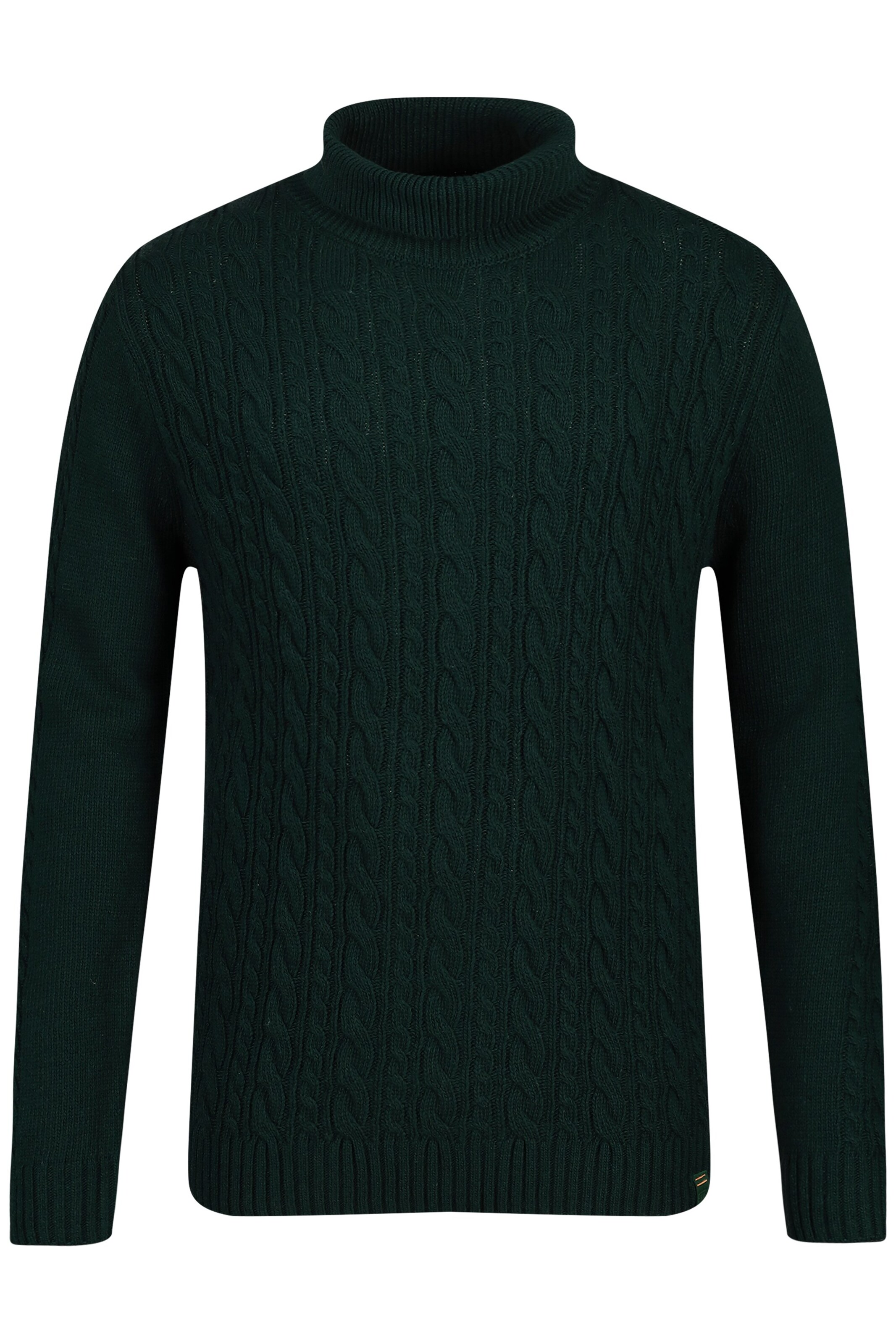 STHUGE Trui in Groen: voorkant