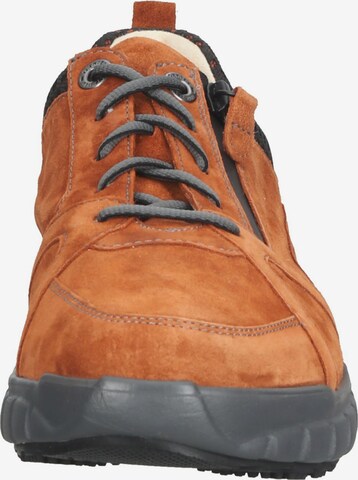 Ganter Sneakers in Brown