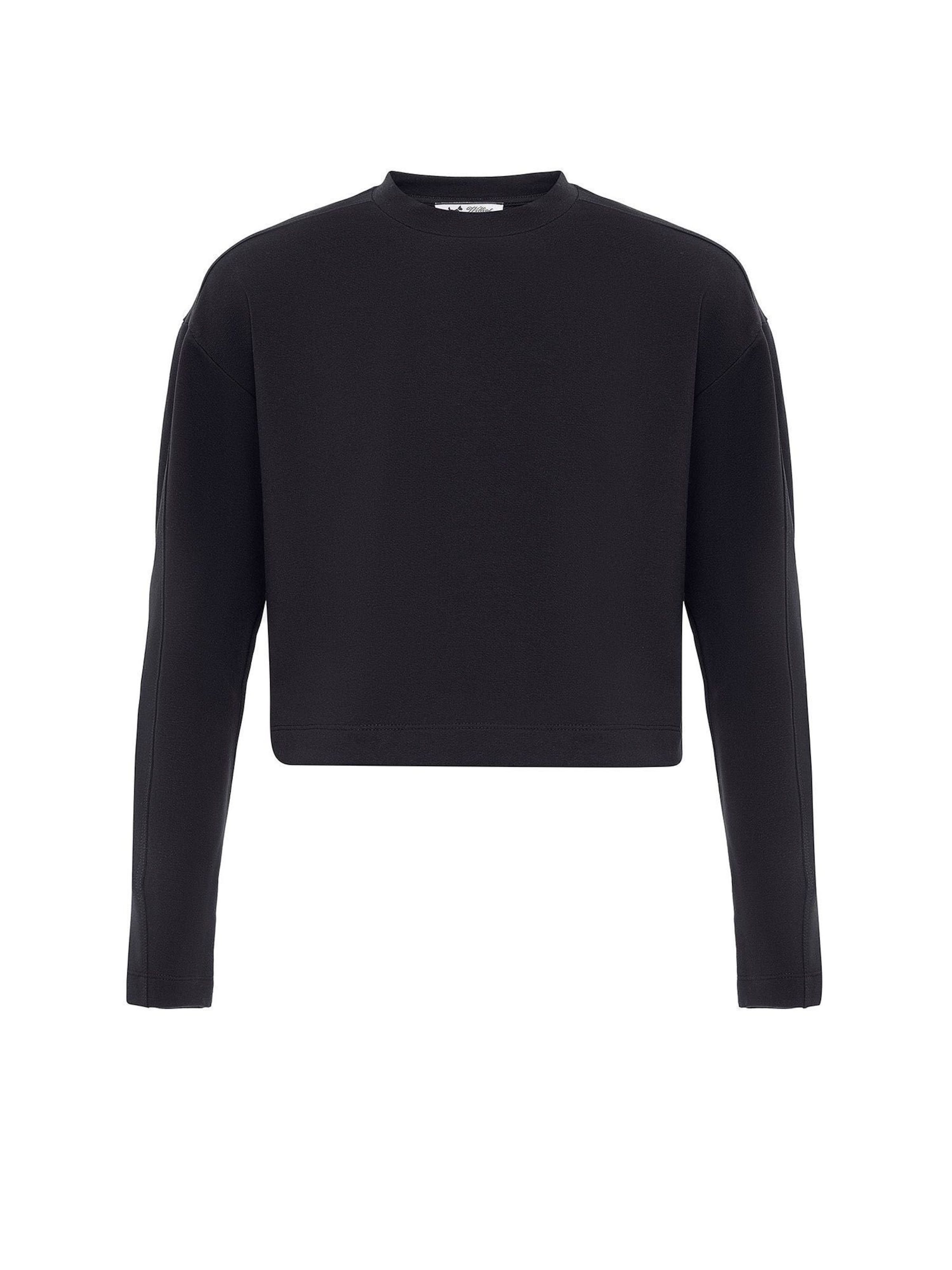 Williot Sweatshirt in Black: front