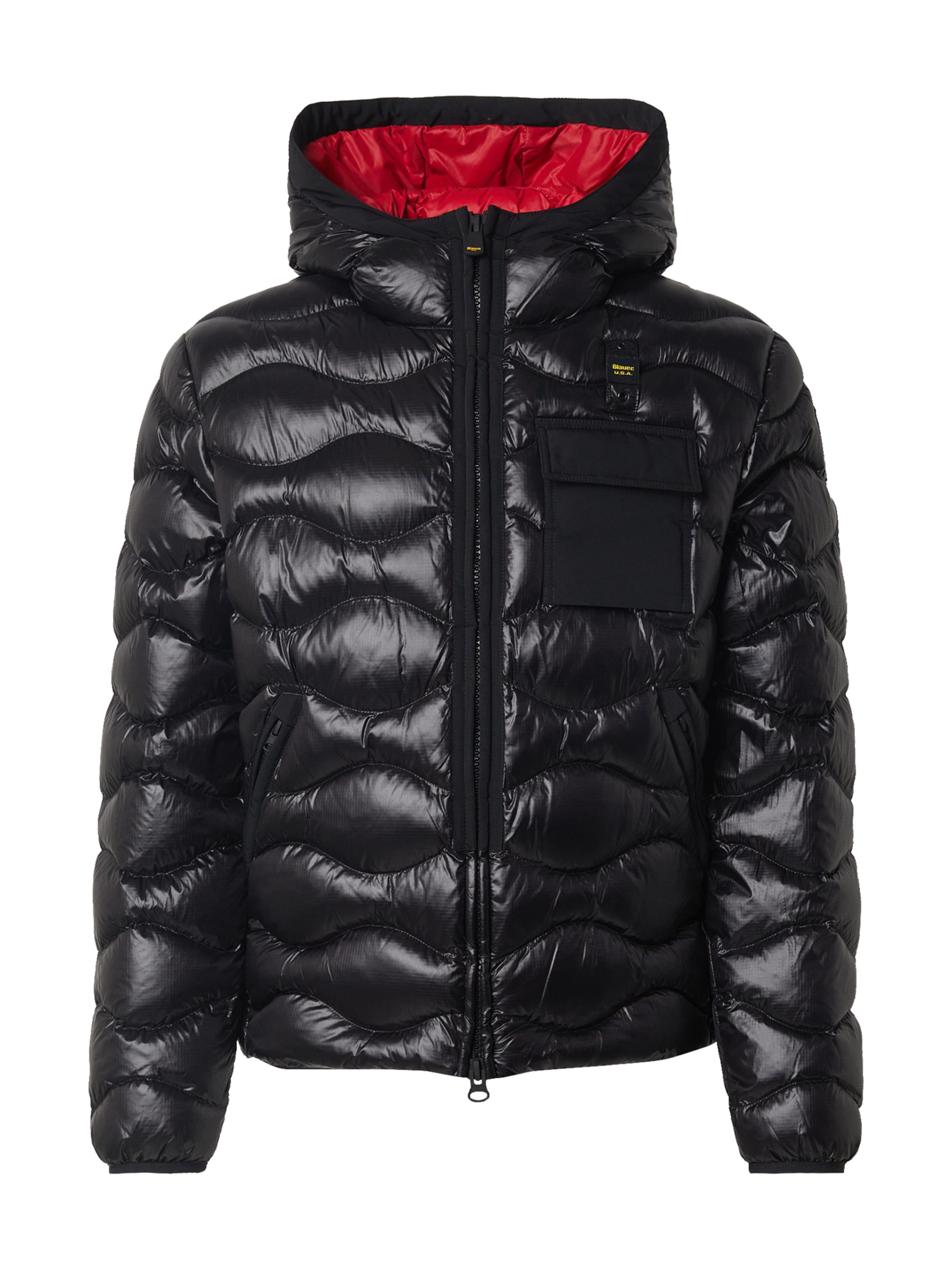 Geacă de iarnă 'BRYANT' de la Blauer.USA pe negru: față