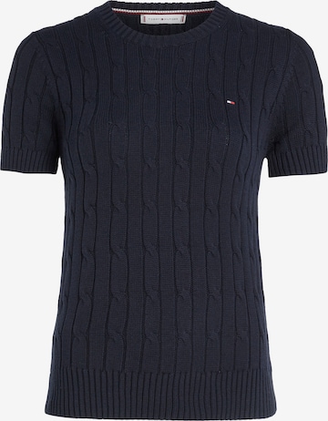 TOMMY HILFIGER Sweater in Blue: front