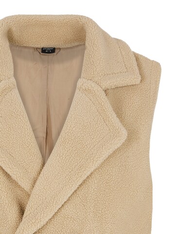 PROTEST Weste 'PRTBRODY' in Braun