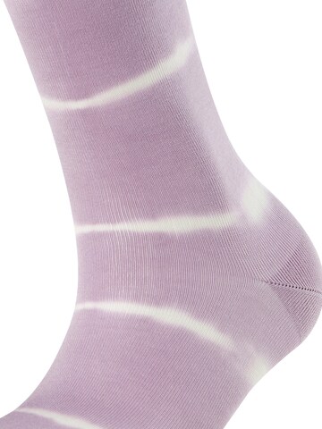 FALKE Socks 'Wave Bond' in Purple