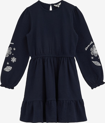 mėlyna WE Fashion Suknelė: priekis