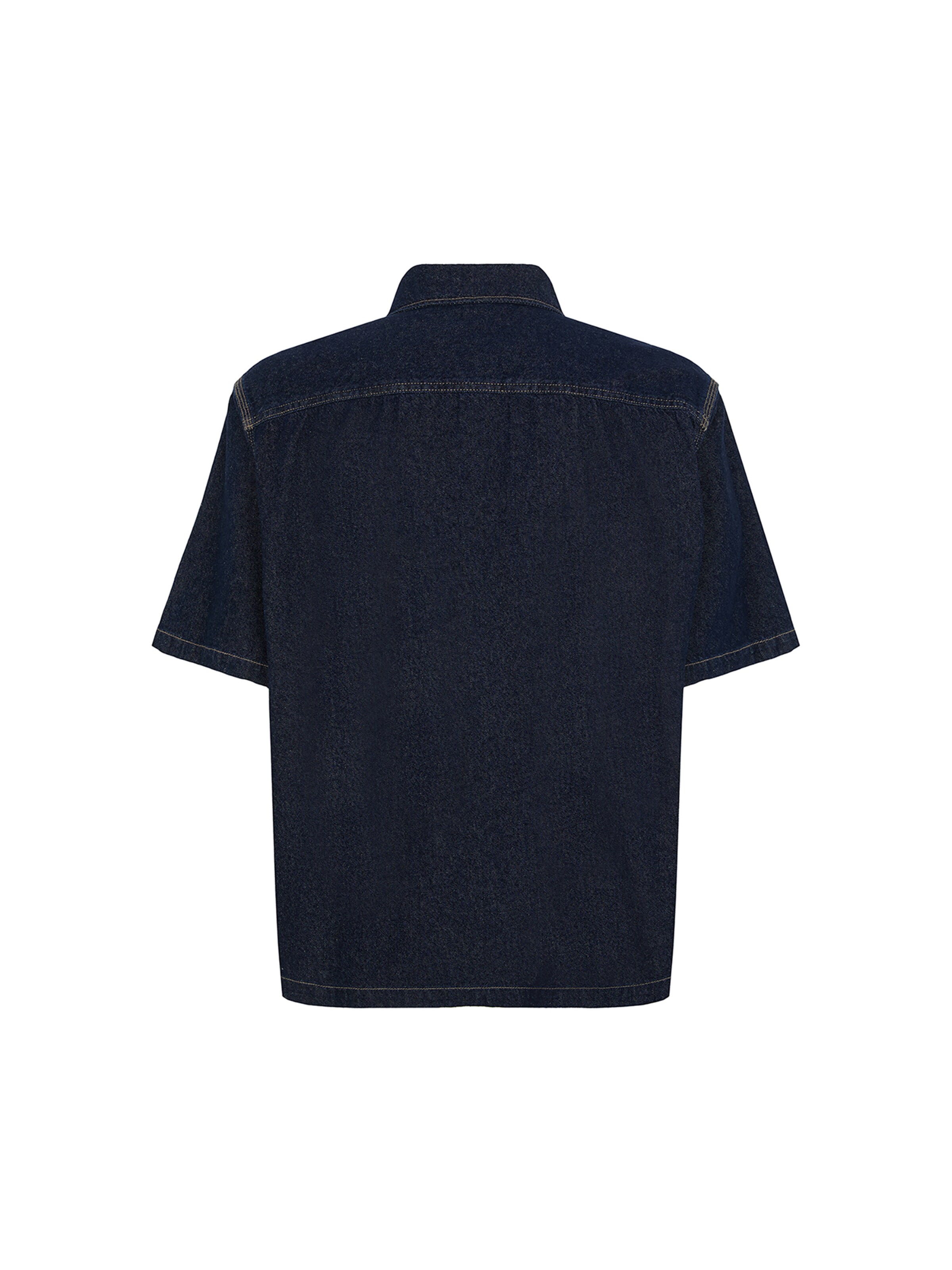 DICKIES Regular fit Srajca | modra barva