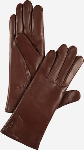 HestraKlasične rukavice 'Elisabeth' - smeđa boja: prednji dio