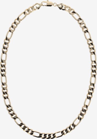 Gaya Ketting in Goud: voorkant