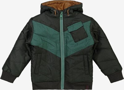 Dirkje Winter Jacket in Brown / Green / Dark green, Item view