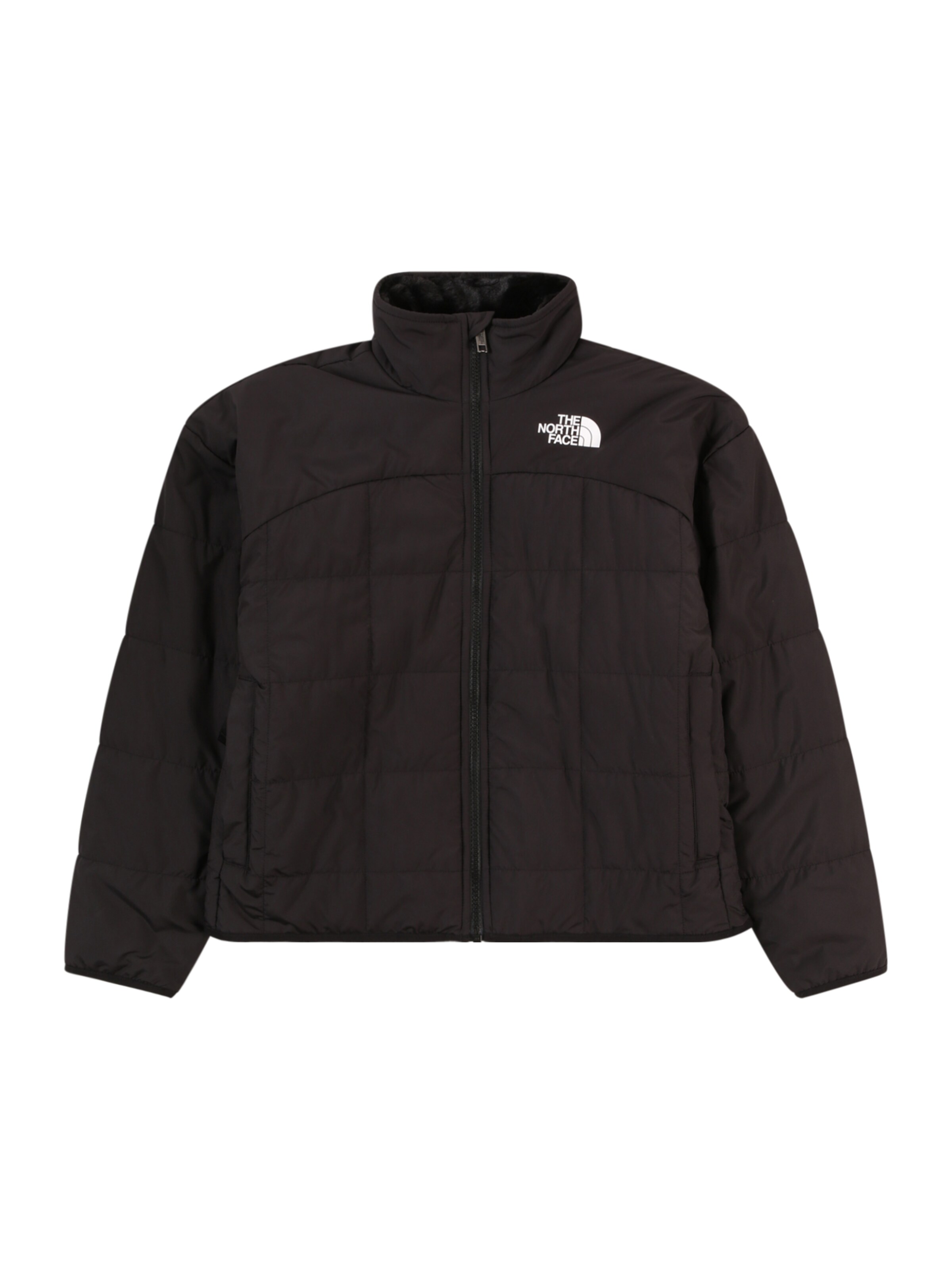 THE NORTH FACE Яке Outdoor 'SHASTA' в черно: отпред