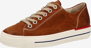 Paul Green Sneaker in Braun: predná strana