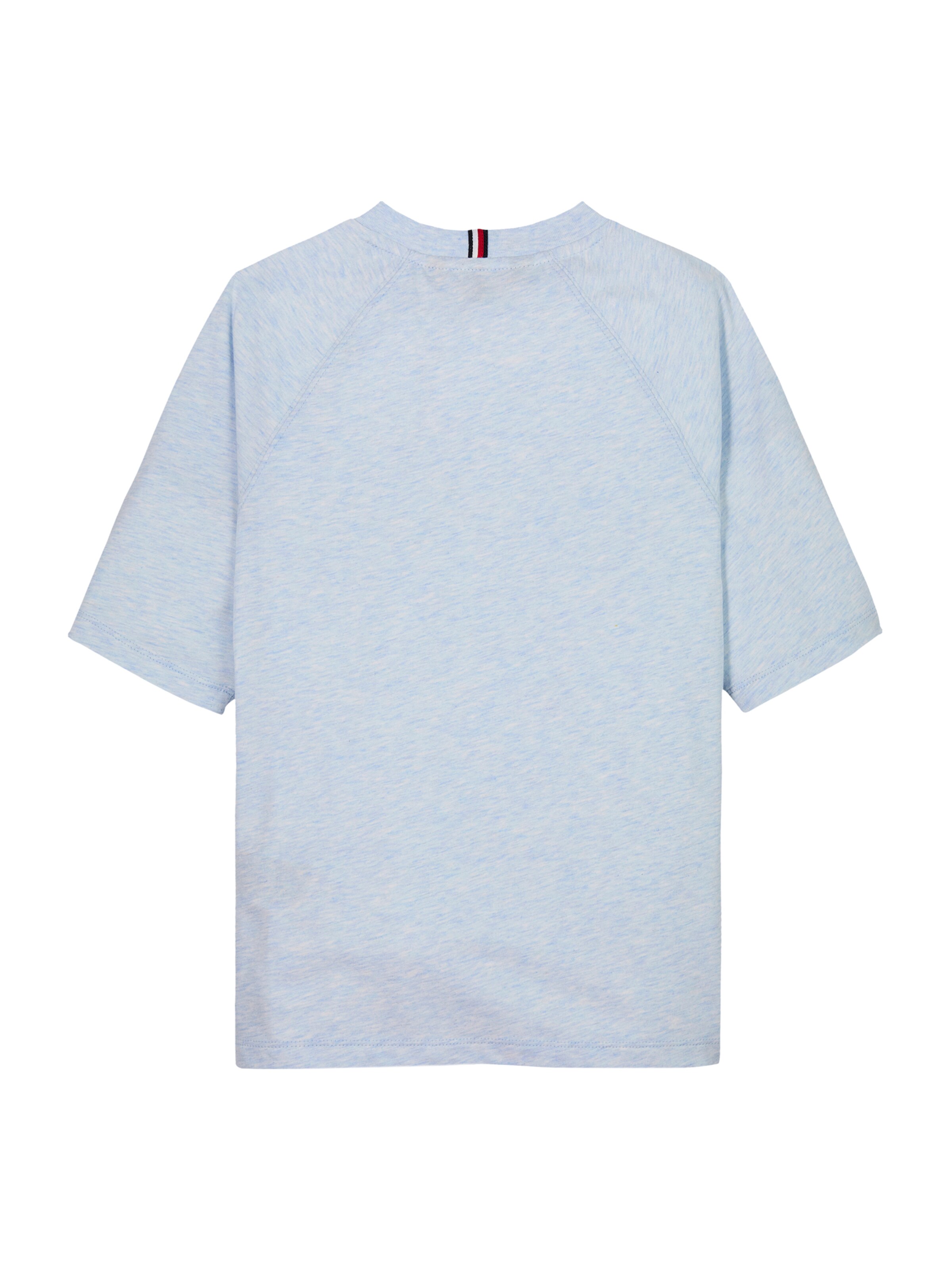 TOMMY HILFIGER Shirt in Blue