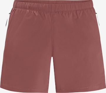 JACK WOLFSKIN Regularen Športne hlače 'Wanderthirst' | roza barva: sprednja stran
