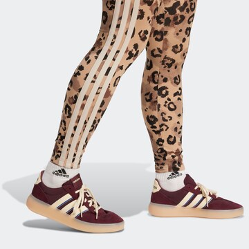 ADIDAS SPORTSWEAR Skinny Sporthose in Braun
