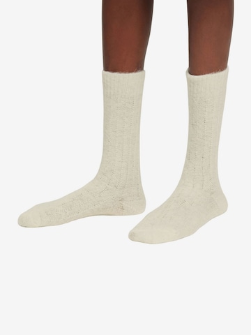 ESPRIT Socks in Beige: front