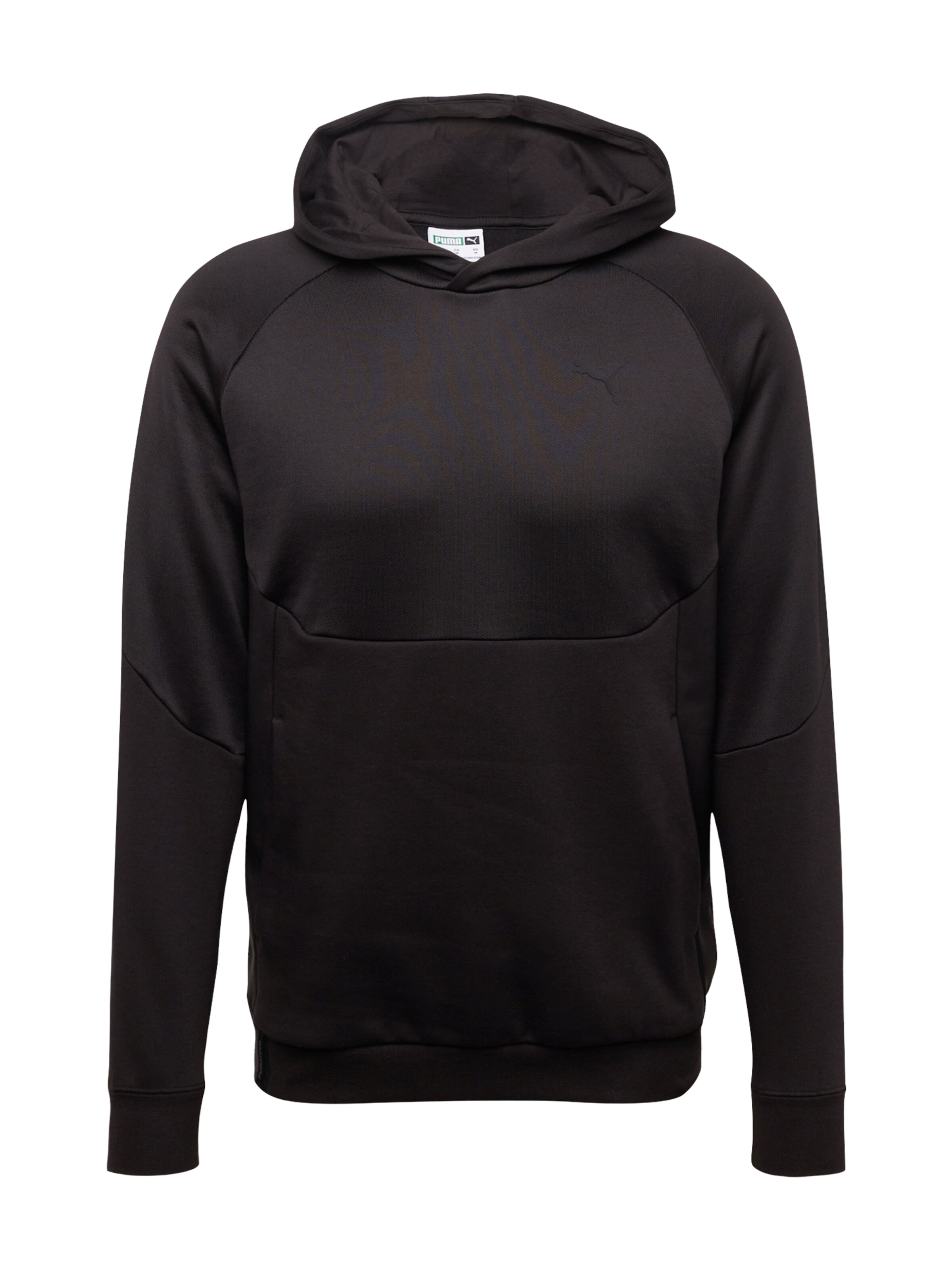 Sweat-shirt PUMA en noir : devant
