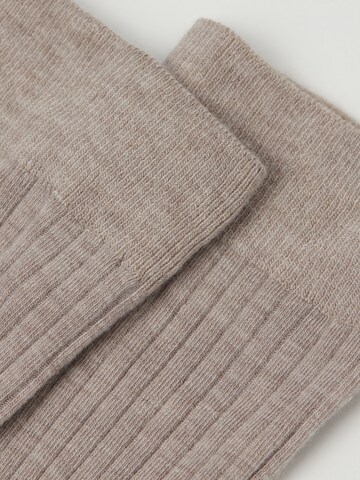 CALZEDONIA Socks in Beige