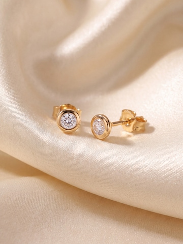 Jobo Earrings in Gold