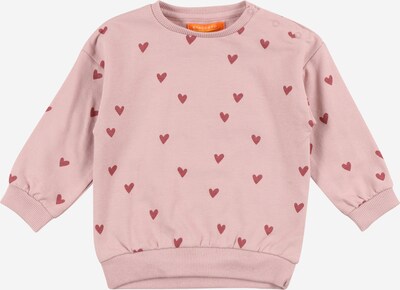 STACCATO Sweatshirt i rosa / vinrød, Produktvisning