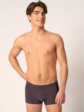 Skiny Regular Boxer shorts in Brown: front