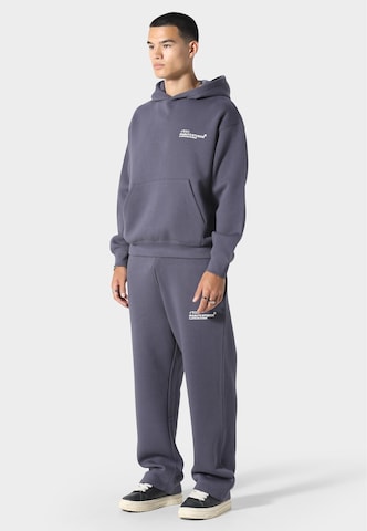 Felpa 'Crane' di Irasuto Studios in grigio