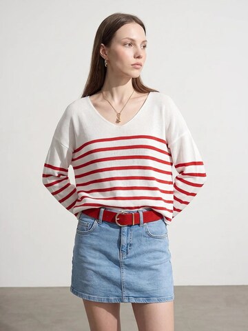 Dilvin Pulover 'Pullover' | mešane barve barva