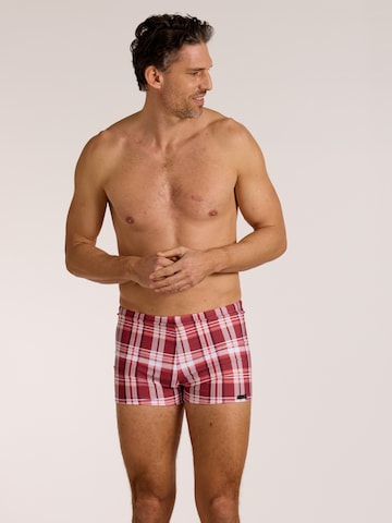 wavebreaker Swim Trunks in Red