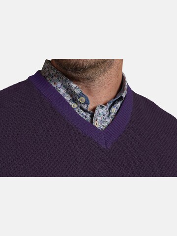 Charles Colby Sweater Vest 'Earl Macsen' in Purple