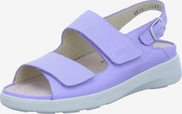 Finn Comfort Sandals 'APIA' in Purple: front