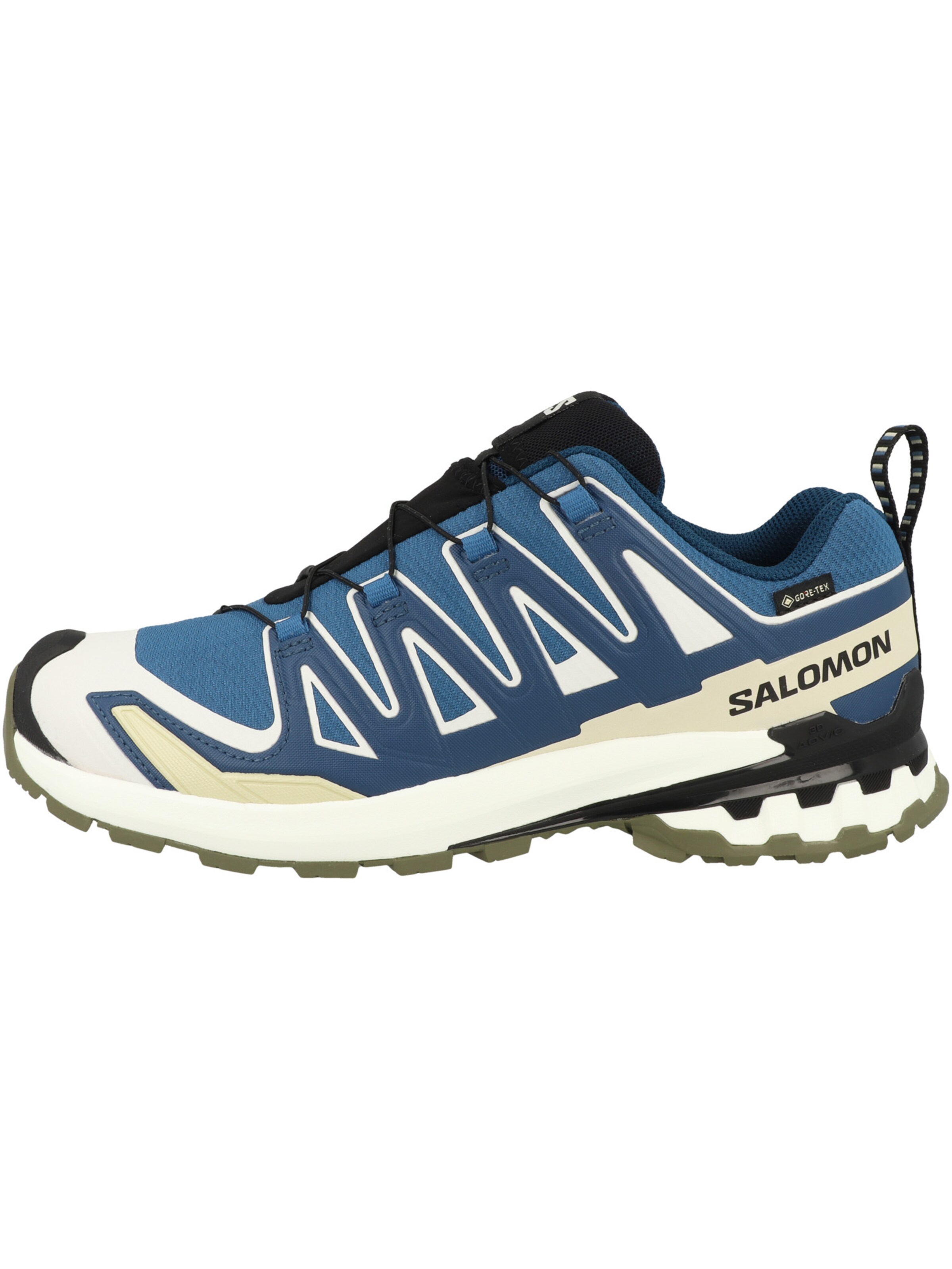 SALOMON Loopschoen 'XA Pro 3D V9' in Blauw