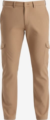Pantalon cargo Ombre en marron : devant