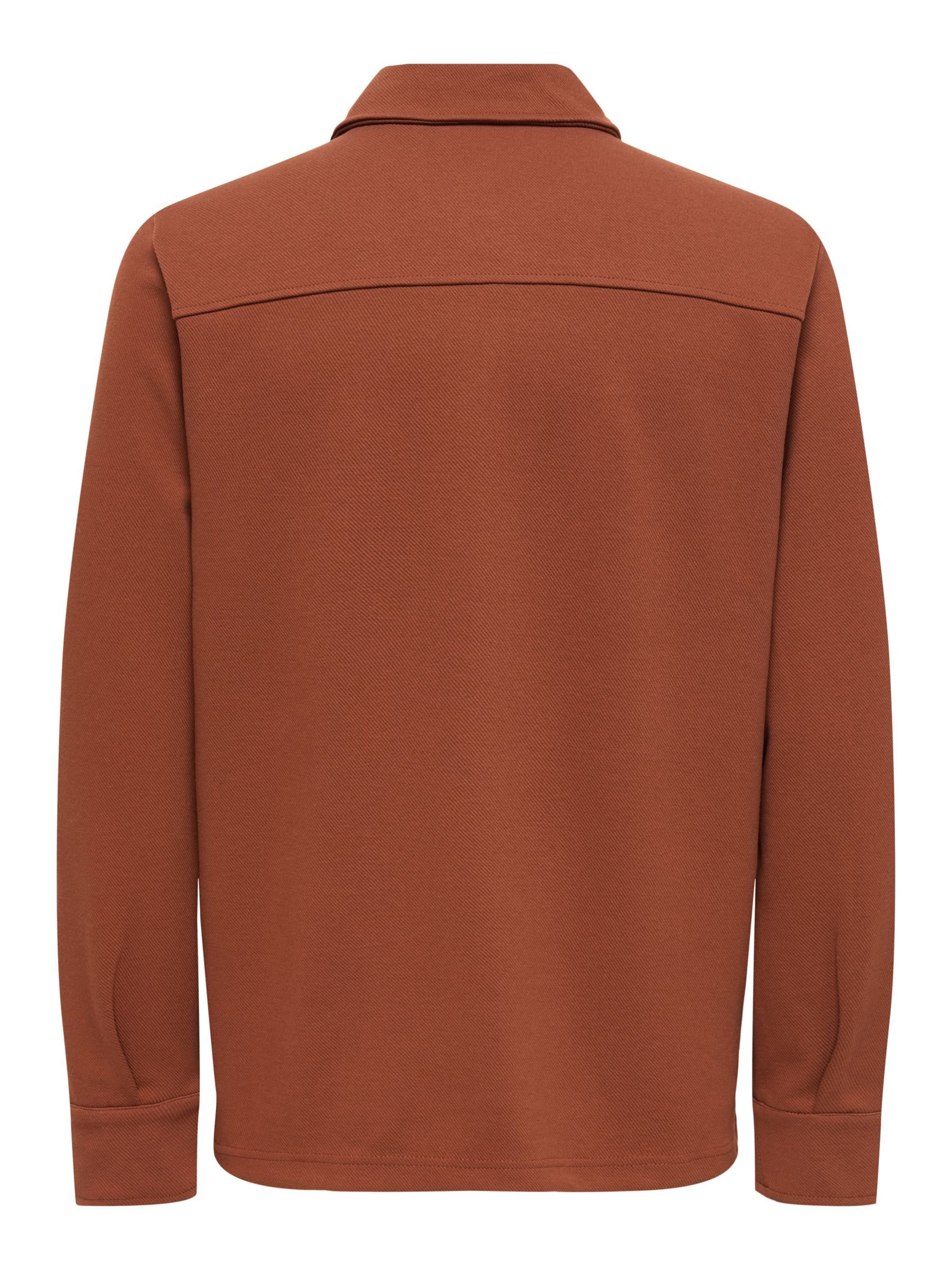 Only & Sons Regular fit Overhemd 'ONSNew Koyl' in Bruin