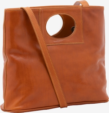 Viola Castellani Crossbody Bag in Brown: front