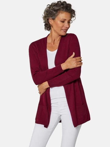 Goldner Sweater in Red: front