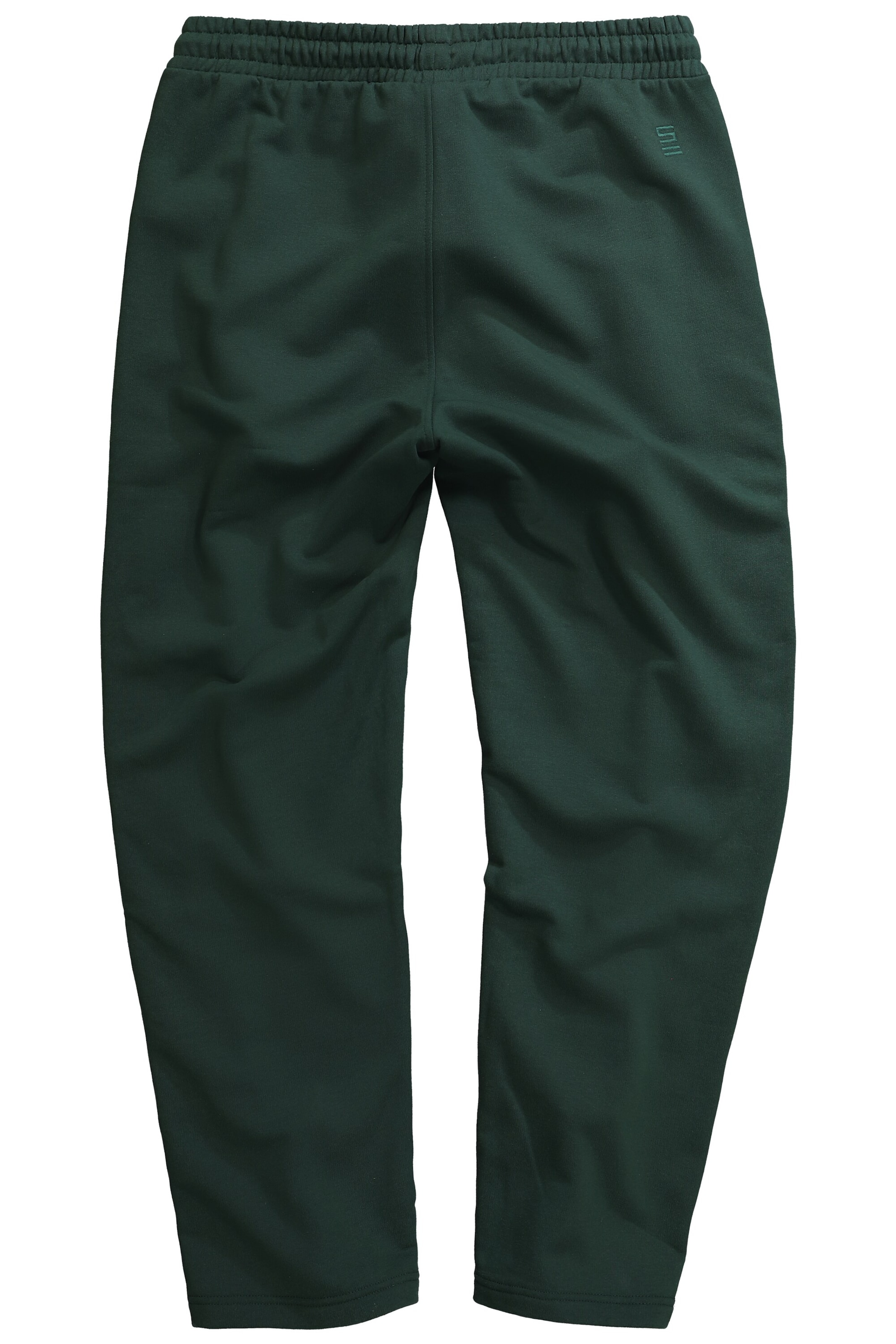 Regular Pantalon STHUGE en vert