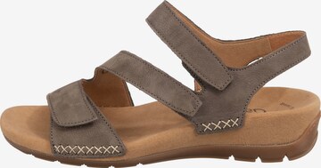 GABOR Strap Sandals in Grey