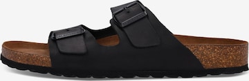SALAMANDER Mules 'Basic' in Black: front