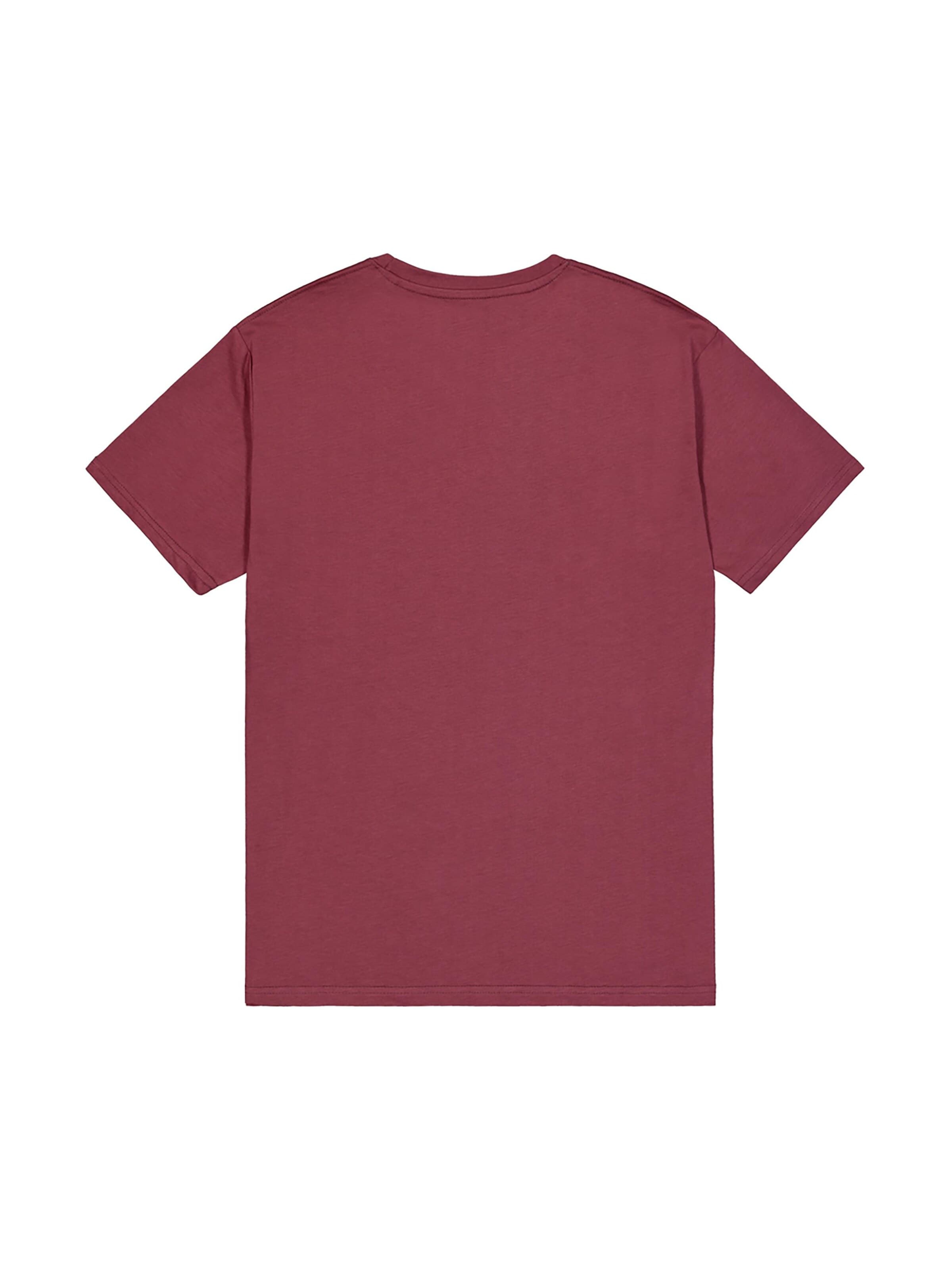 ALPHA INDUSTRIES Regular fit Shirt 'Basic Small Logo' in Red