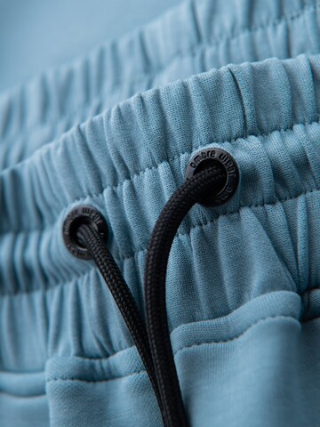 Ombre Regular Broek in Blauw