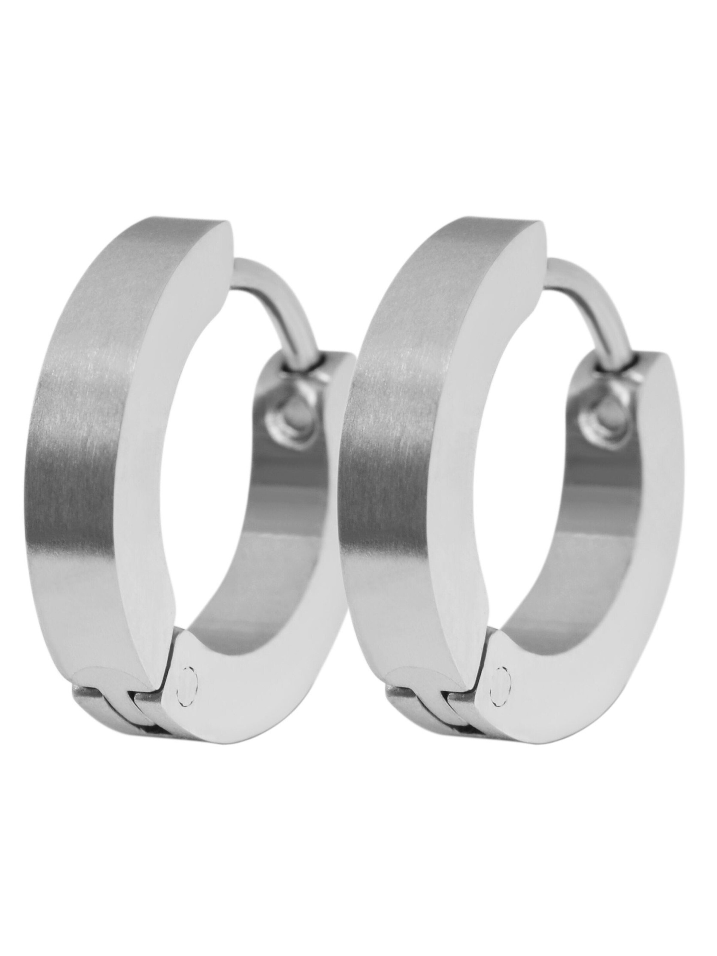 Akzent Earrings 'Inu, hautverträglich' in Silver