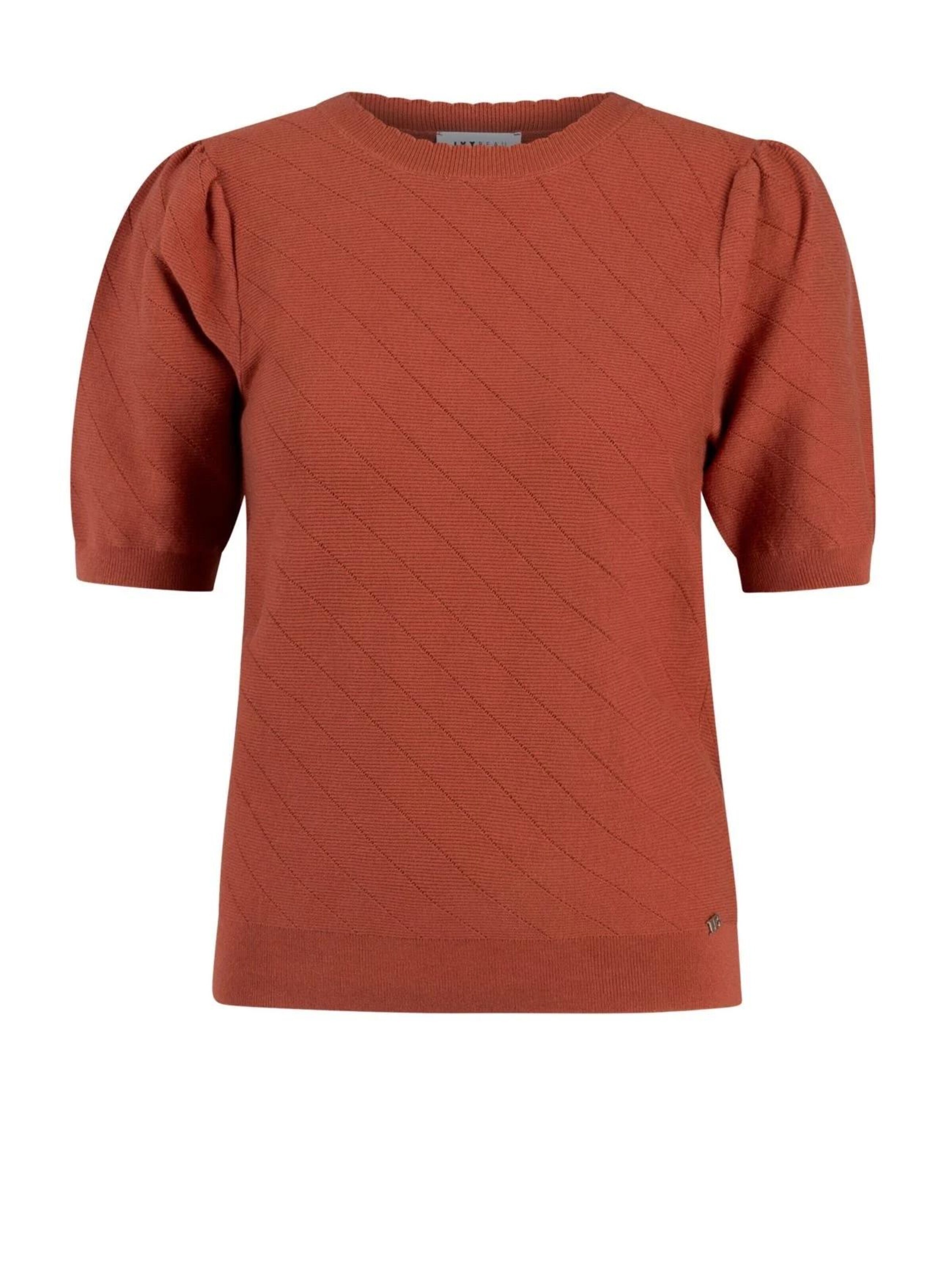 IVY BEAU Knitted top 'IVY Beau Dorien barn red' in Red