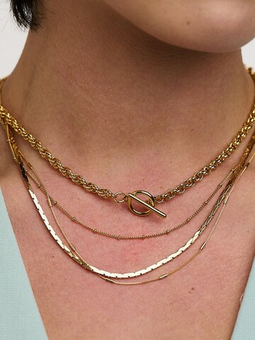 Orelia Necklace 'Satellite & Link Chain' in Gold