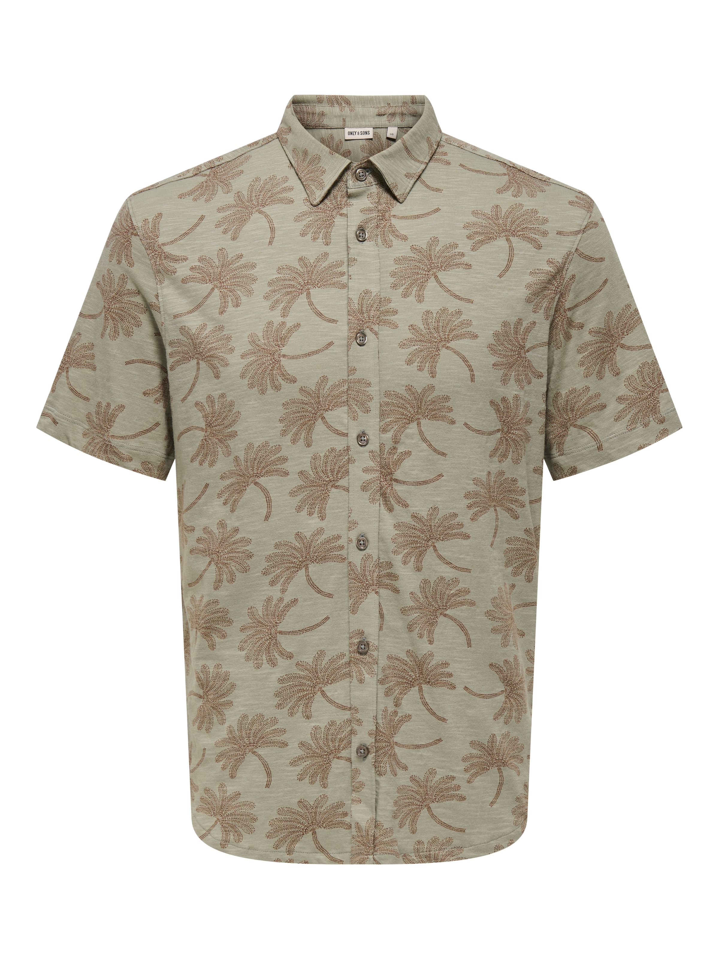 Only & Sons Regular fit Button Up Shirt 'ONSMALDINI' in Green: front