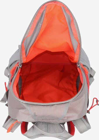 SALEWA Sports Backpack 'Ultra Train' in Grey