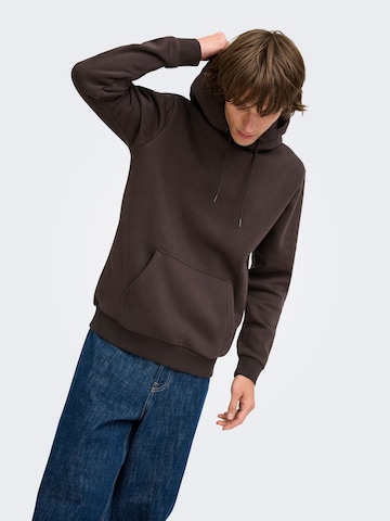 Coupe regular Sweat-shirt 'CERES' Only & Sons en marron
