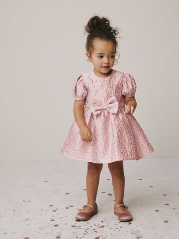 Next Kleid in Pink