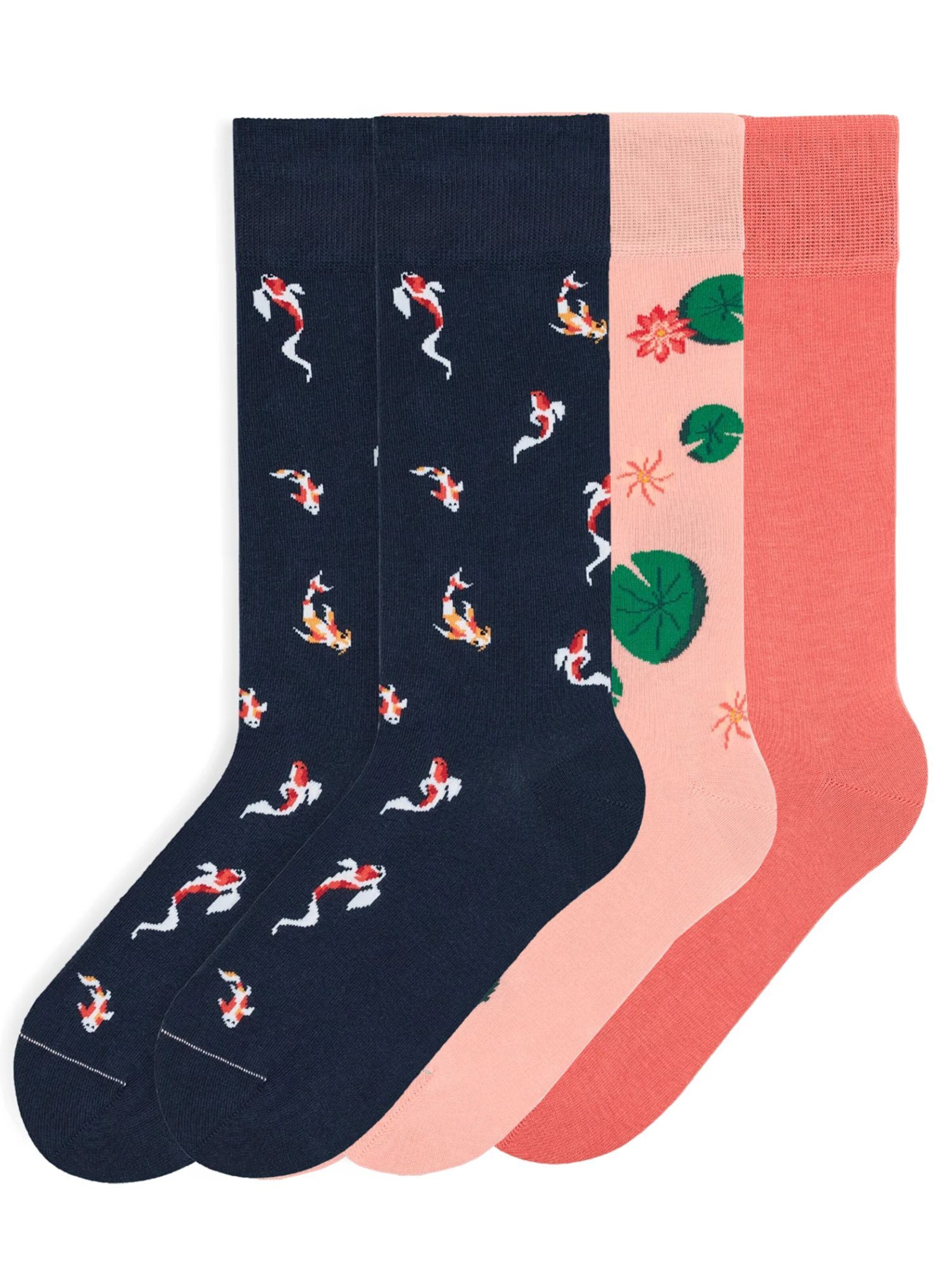 Von Jungfeld Socks 'Classic & Icons Socken Bundle' in Mixed colors: front