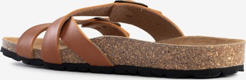 Bayton Mule 'Cleo' in Brown