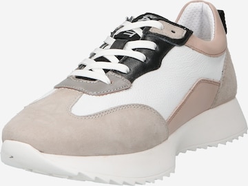 Sneaker bassa 'Sophie' di TT. BAGATT in grigio: frontale